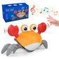 crawling crab toy with music and led light up